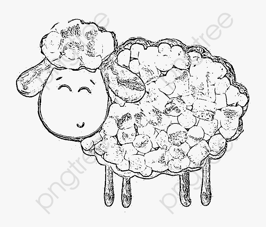 Lamb Clipart Sheep - Line Art, HD Png Download, Free Download