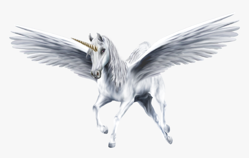 An Beautiful White Winged Unicorn - Pegasus Transparent Background, HD Png Download, Free Download