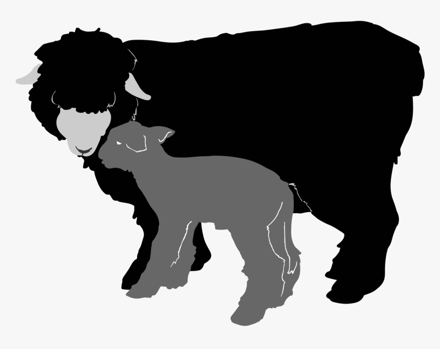 Sheep And Lamb Silhouette Clipart , Png Download - Silueta De Ovejas, Transparent Png, Free Download