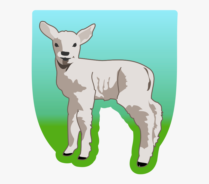 Young Lamb - Sheep Clip Art, HD Png Download, Free Download