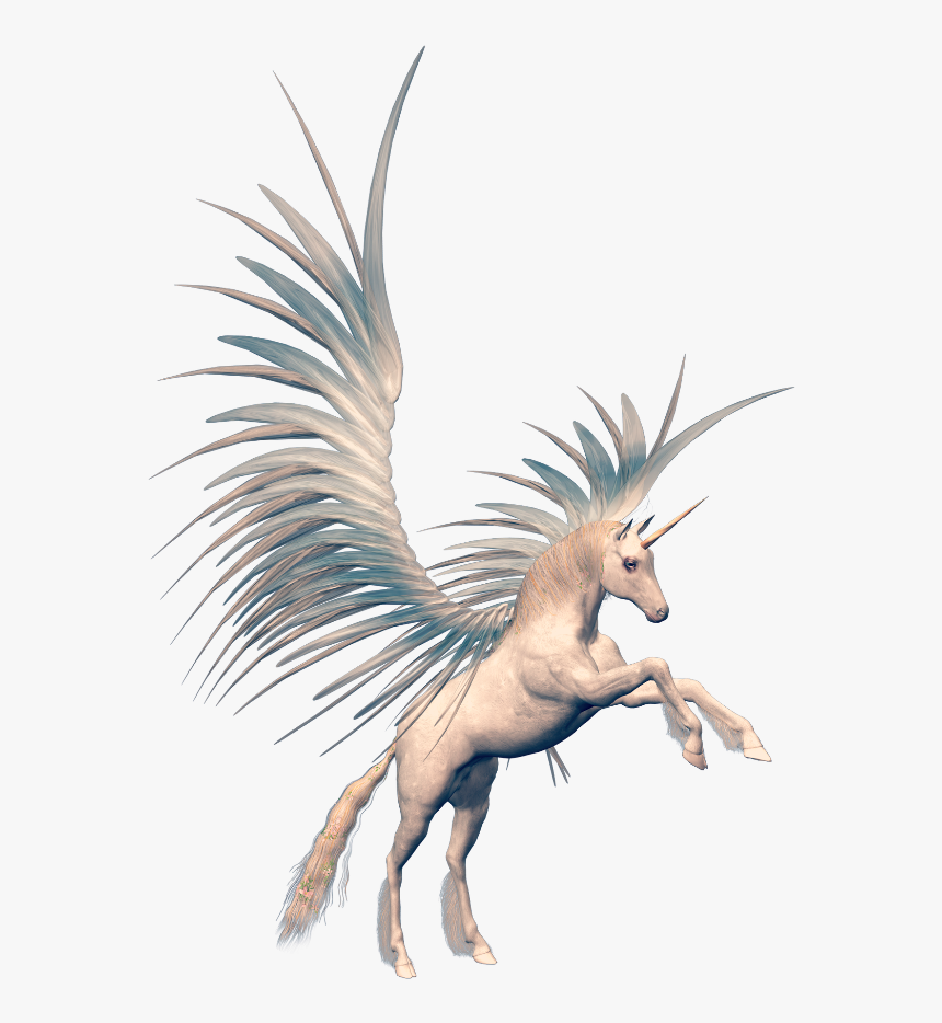 #mq #unicorn #white #fantasy #horse #animal #flying - Pegasus, HD Png Download, Free Download