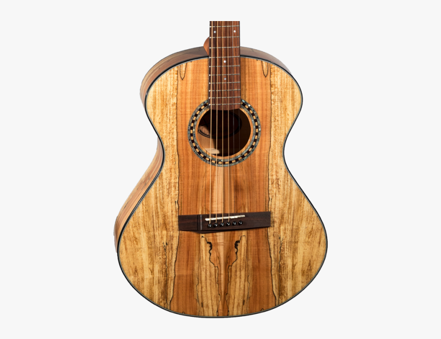 Acoustic Guitar, HD Png Download, Free Download