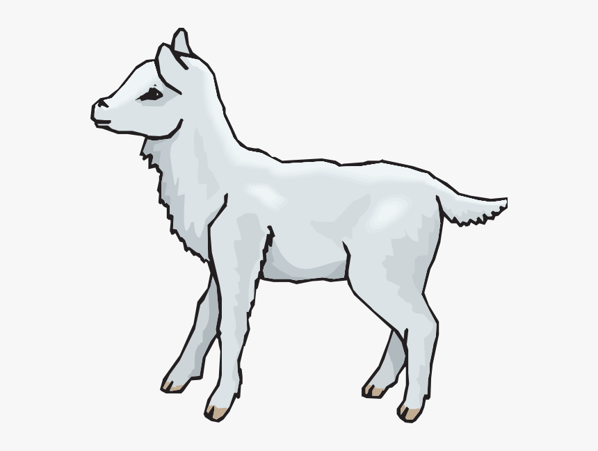 Lamb Standing Png - Agnello Png, Transparent Png, Free Download