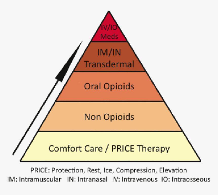 The Emphasis Of These Guidelines Is For All Levels - Analgesia Pyramid, HD Png Download, Free Download