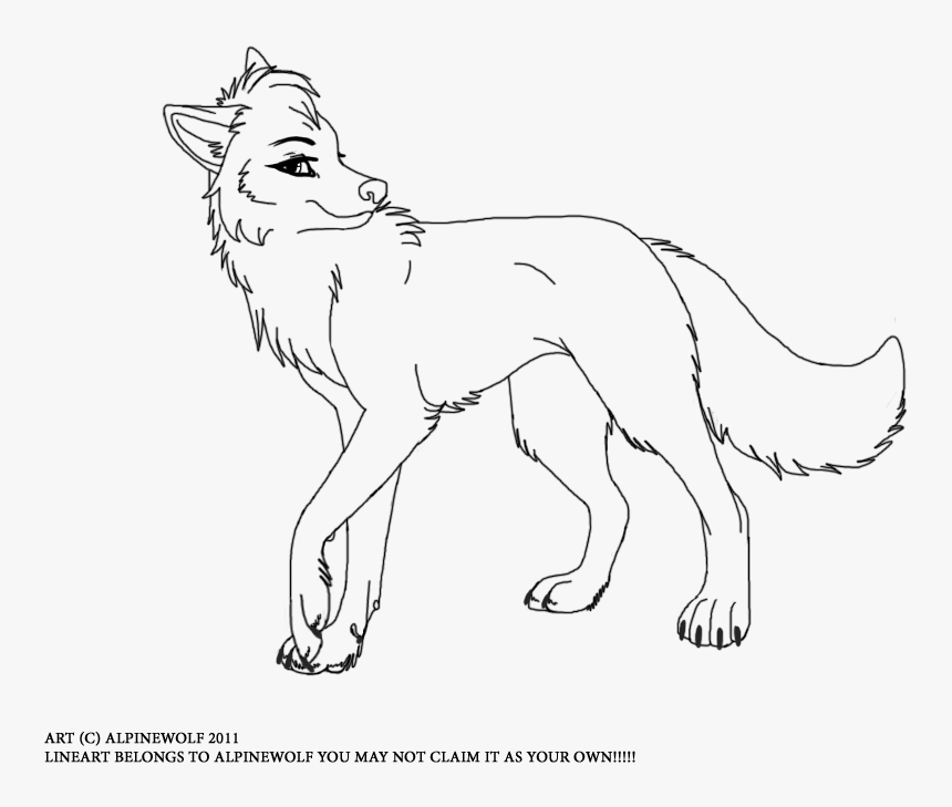 Female Drawing At Getdrawings - Anime Wolf Girl Drawings, HD Png Download, Free Download