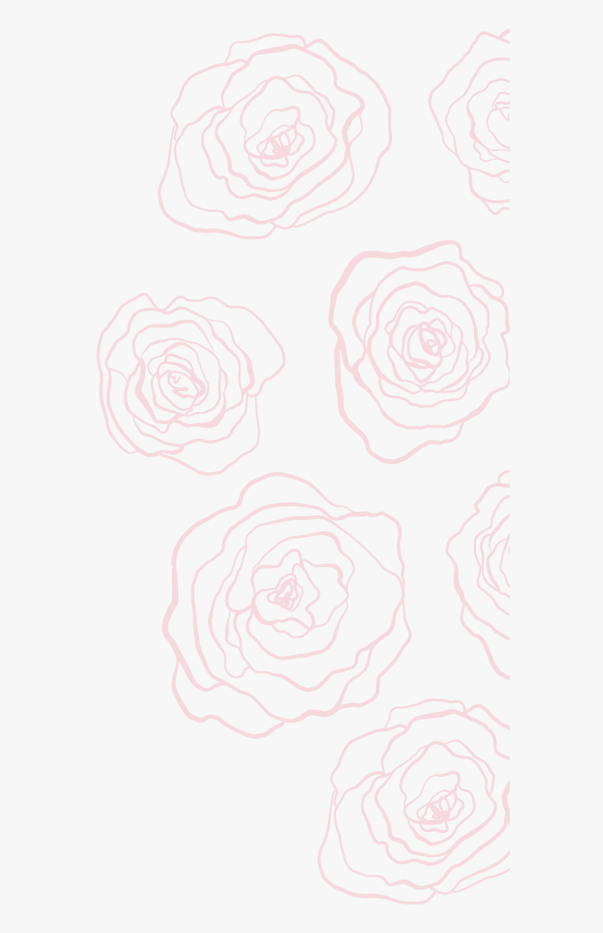 Garden Roses, HD Png Download, Free Download