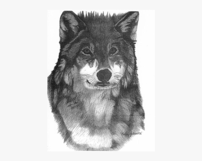 Wildlife Drawing Colored Pencil - Mackenzie River Husky, HD Png Download, Free Download