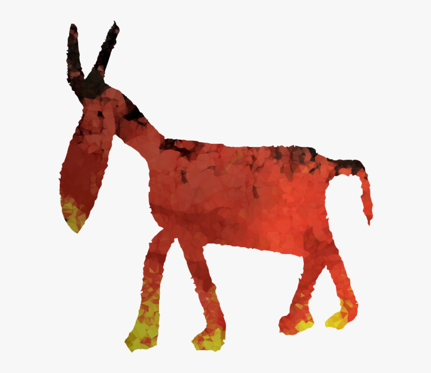 Transparent Goats Png - Llama, Png Download, Free Download
