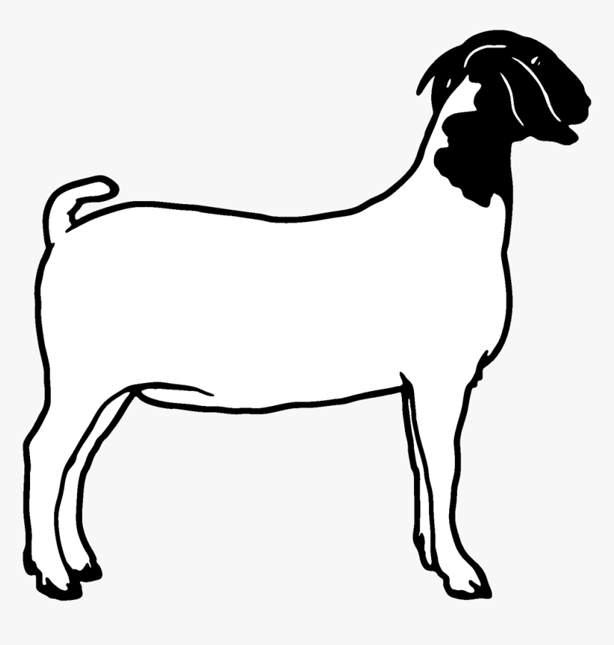 Goat Dairy Goats Clip Art Danaspda Top Transparent - Boer Goat Clipart, HD Png Download, Free Download