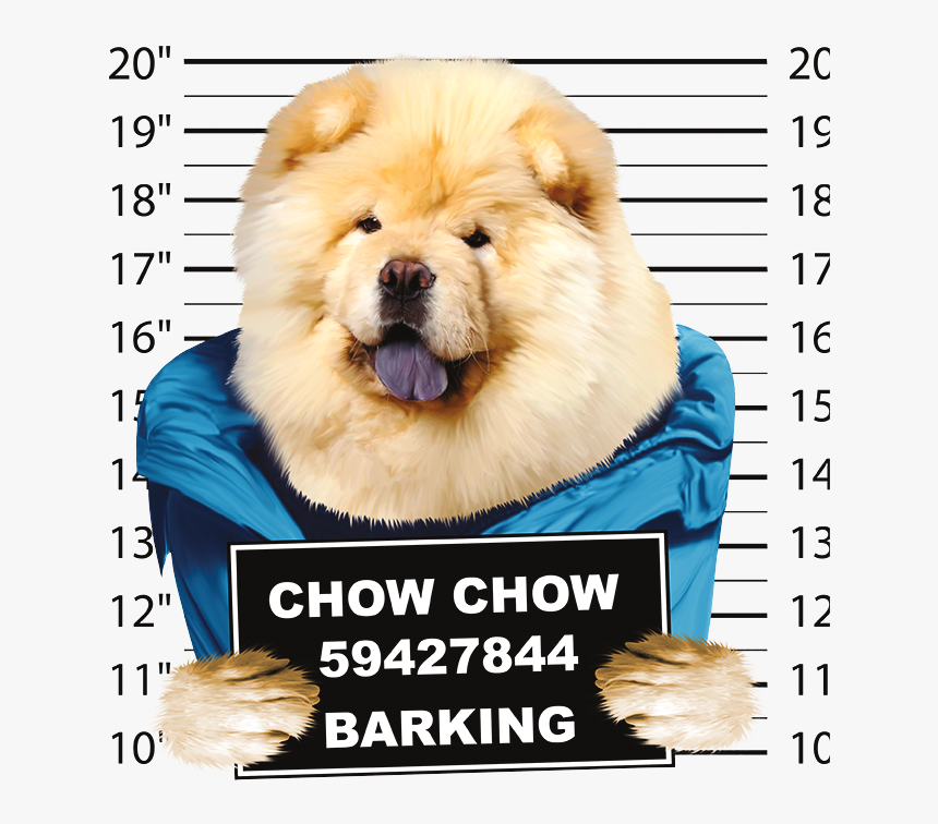 Transparent Dog Barking Png - Chow Chow In Clothes, Png Download, Free Download