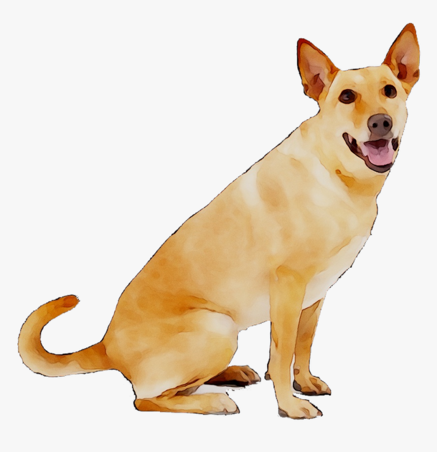 Dog Breed Carolina Dog Petsafe Anti-barking Collar - Bingpet Thunderstorm, HD Png Download, Free Download