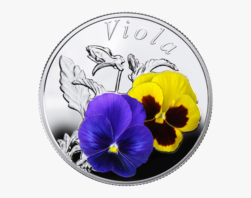 Pansy, HD Png Download, Free Download