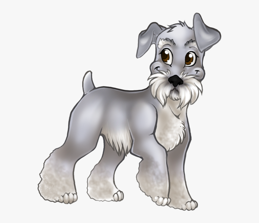 Breed,canidae,miniature Schnauzer,snout,cesky Terrier,sealyham - Standard Schnauzer, HD Png Download, Free Download