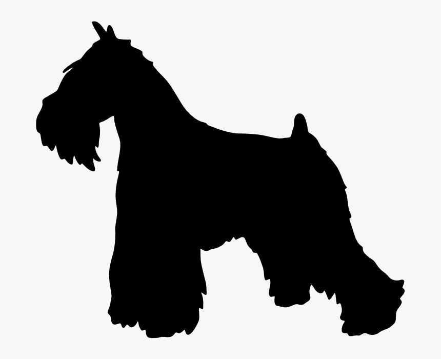 Miniature Schnauzer Scottish Terrier English Mastiff - Mini Schnauzer Silhouette, HD Png Download, Free Download