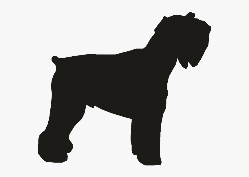 Miniature Schnauzer Dog Breed Rottweiler Dobermann - Schnauzer Silhouette Png, Transparent Png, Free Download