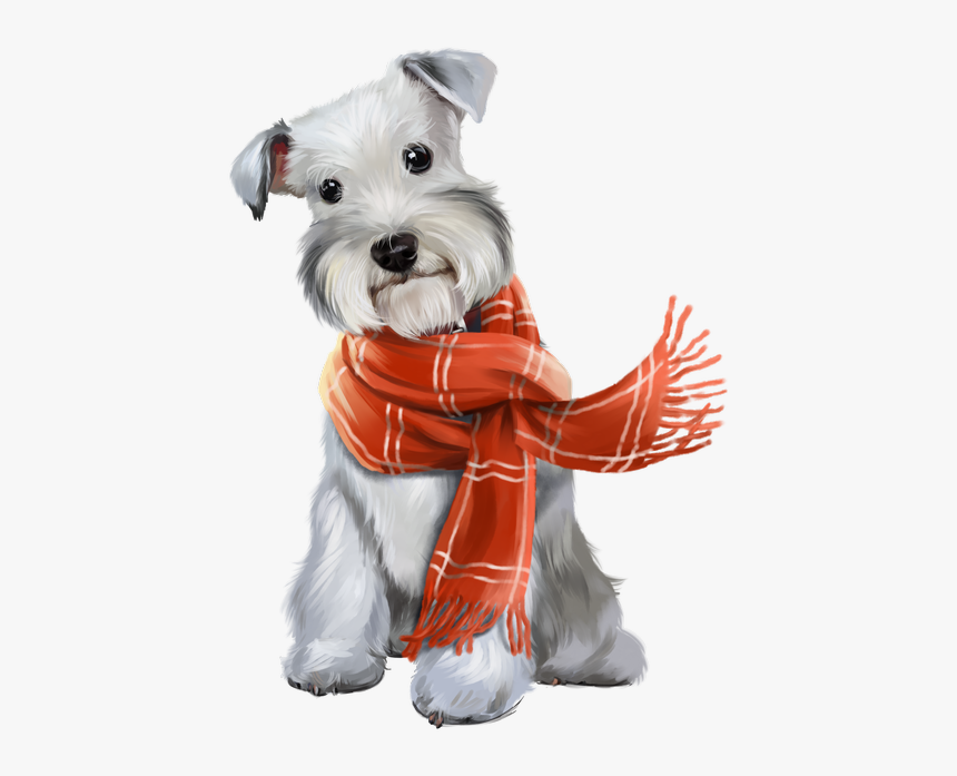 Schnauzer En Caricatura, HD Png Download, Free Download