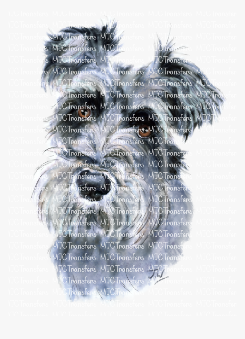 Standard Schnauzer, HD Png Download, Free Download