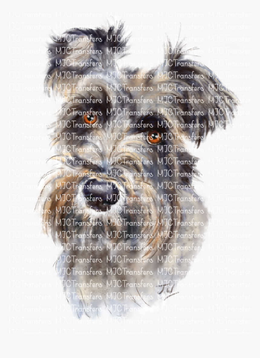 Miniature Schnauzer, HD Png Download, Free Download