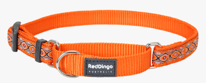 Martingale Snake Eyes Orange Designer Dog Collar - Dog Collar, HD Png Download, Free Download