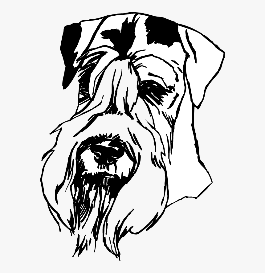 Airedale Terrier, HD Png Download, Free Download