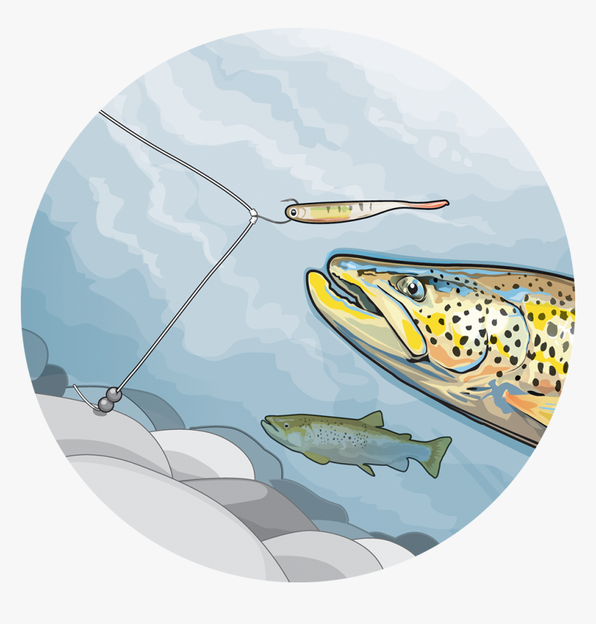 Drop Shot For Trout, HD Png Download, Free Download