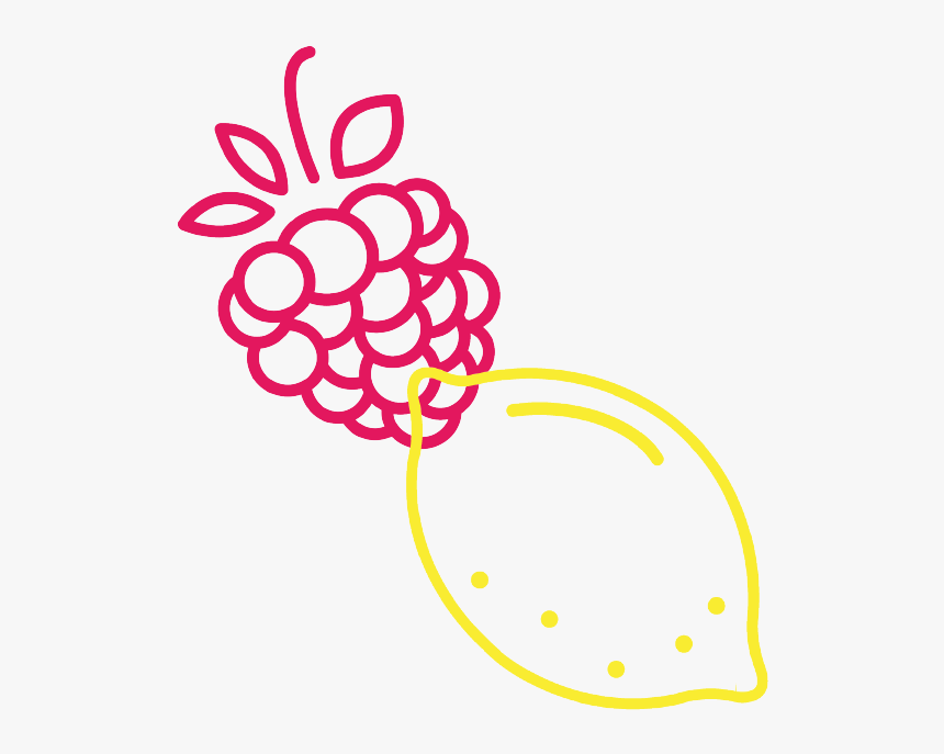 Raspberry Lemonade Clipart - Raspberry Illustration Simple, HD Png Download, Free Download