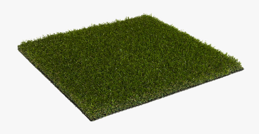 Lawn, HD Png Download, Free Download