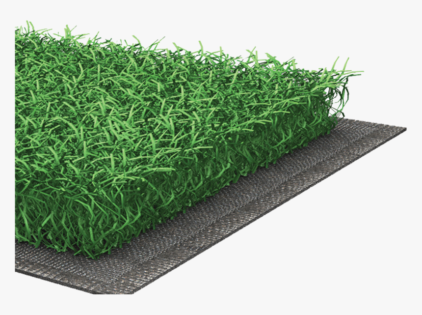 Sport Turf System, HD Png Download, Free Download