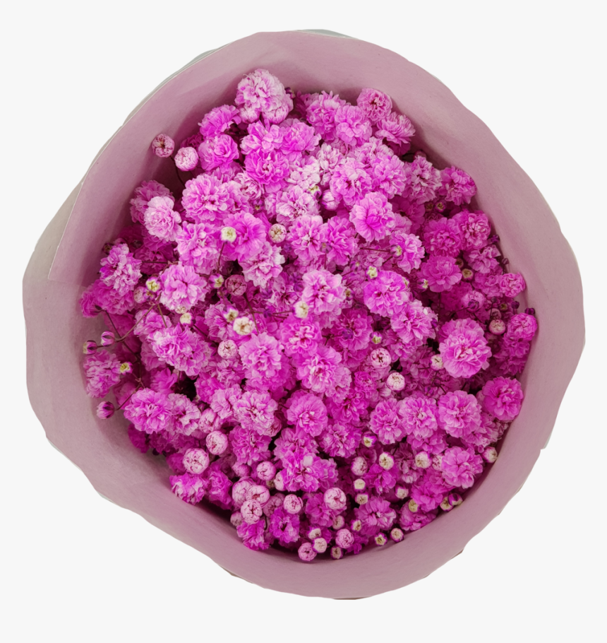 Baby"s Breath Tinted - Artificial Flower, HD Png Download, Free Download