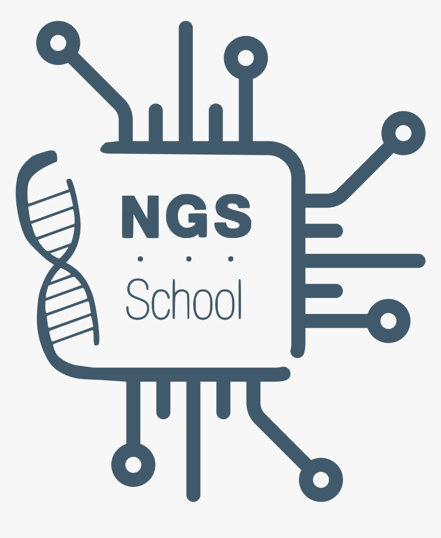 Ngs19 Logo - Decision Engines, HD Png Download, Free Download