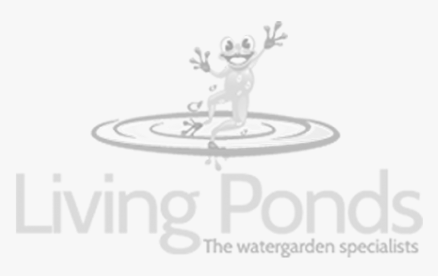 Fish Net Skimmer - Pond, HD Png Download, Free Download