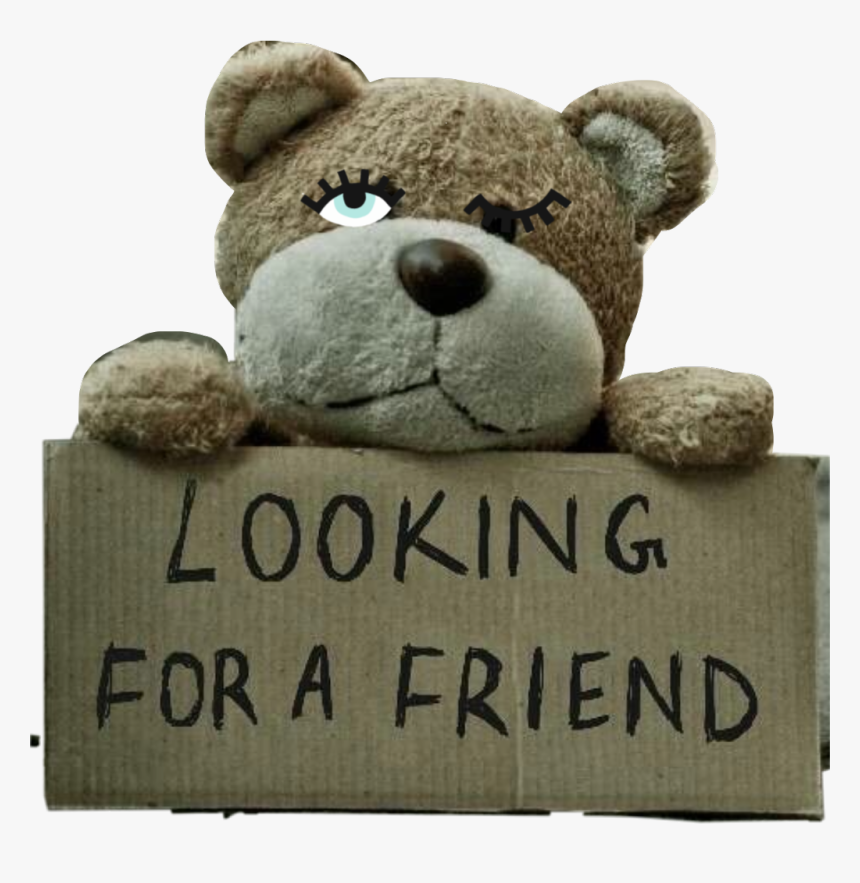 #flirtaciouseyes #teddybear #toy #sign #cardboard #lookingforafriend - Cute Dpz For Whatsapp, HD Png Download, Free Download