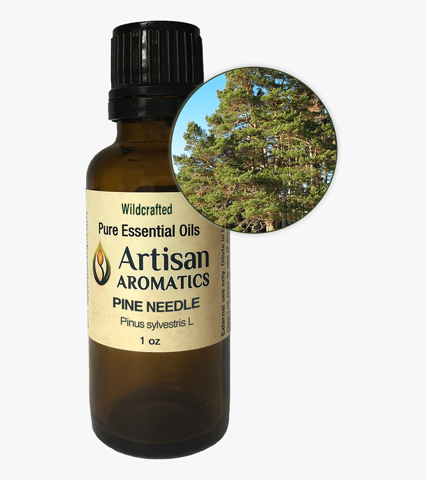 Pine Needle Essential Oil - Ocimum Basilicum Products Png, Transparent Png, Free Download