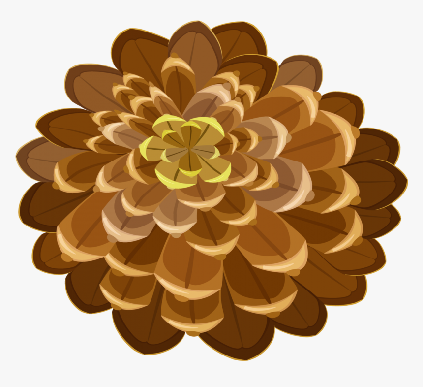 Pine Cone Drawn Image - Клипарт Шишка Рисунок Png, Transparent Png, Free Download