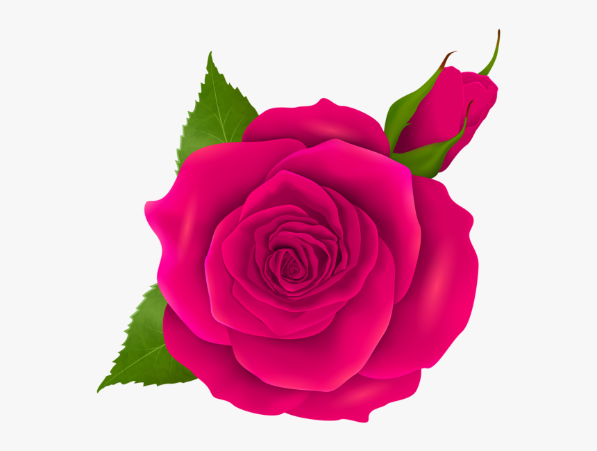 Rose Cliparts Png Transparent - Birds Eye View Of Flowers, Png Download, Free Download