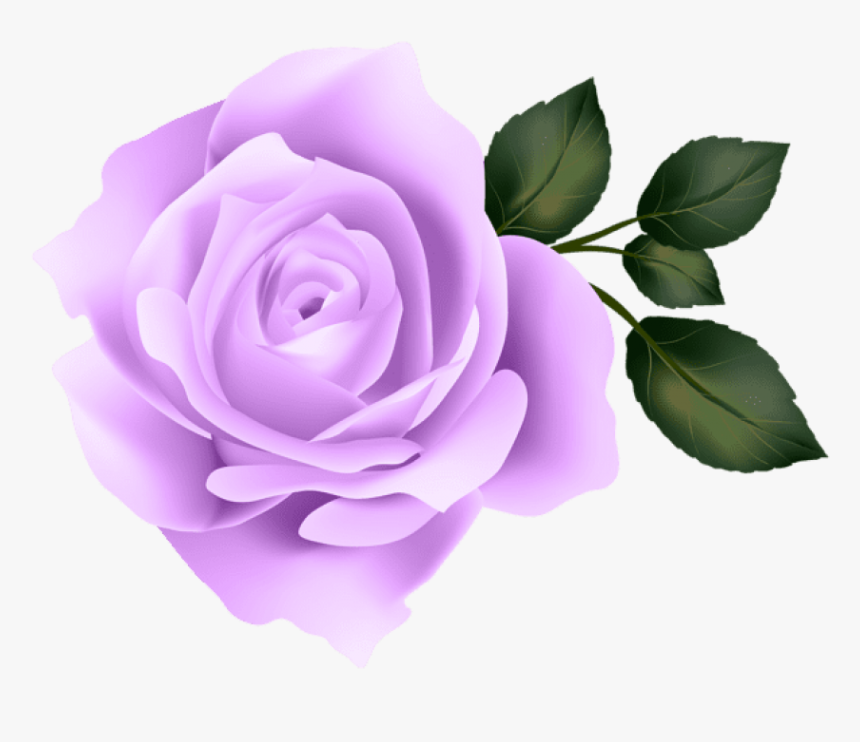 Transparent Purple Roses Clipart - Purple Roses Transparent Background, HD Png Download, Free Download