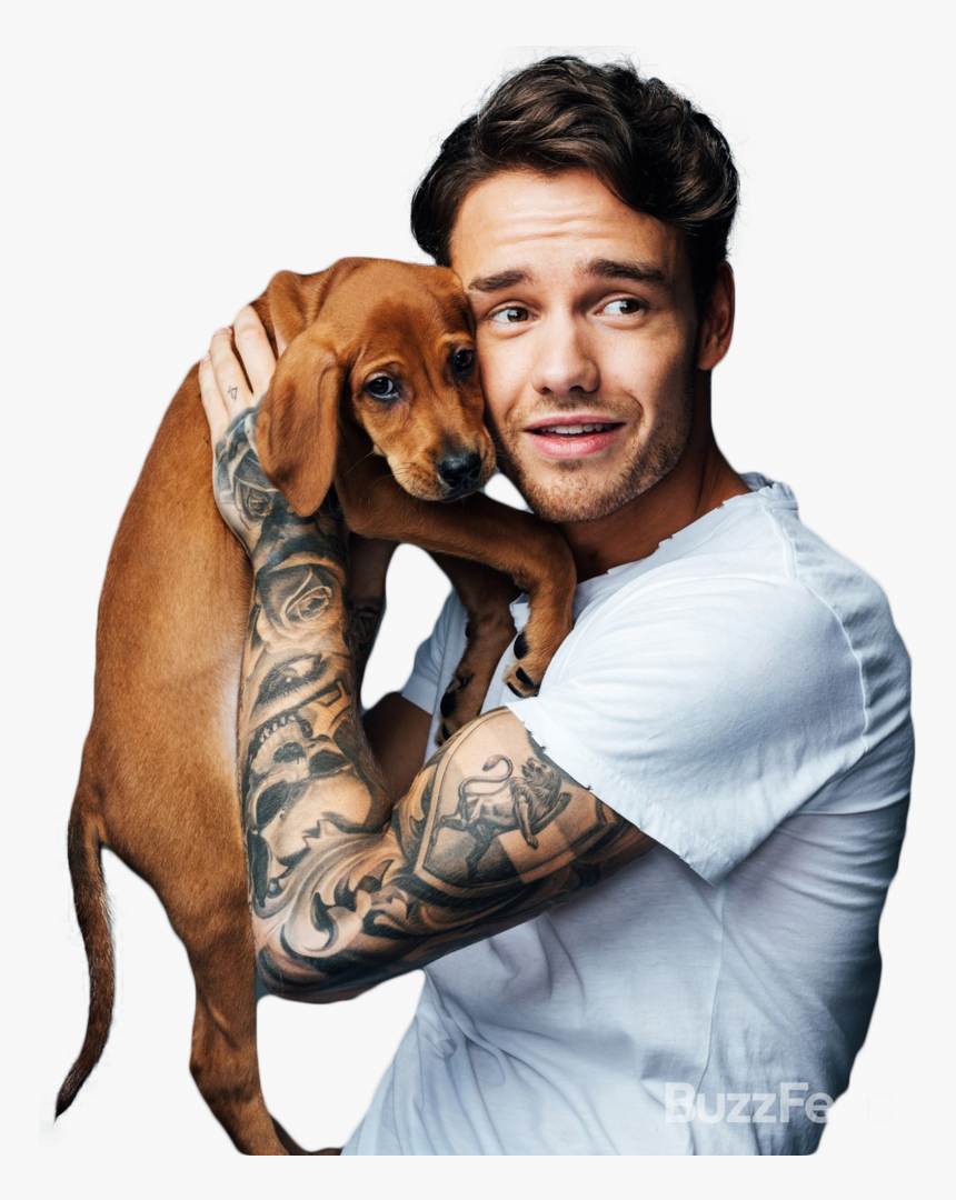 Thumb Image - Liam Payne, HD Png Download, Free Download