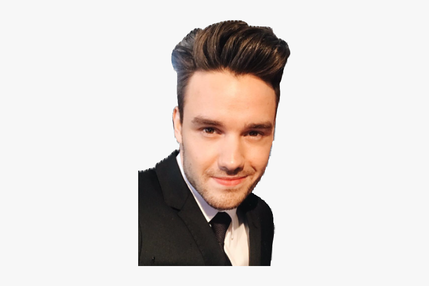 #liam Payne #liampayne #liam #payne #liammalik #liampalik - Gentleman, HD Png Download, Free Download