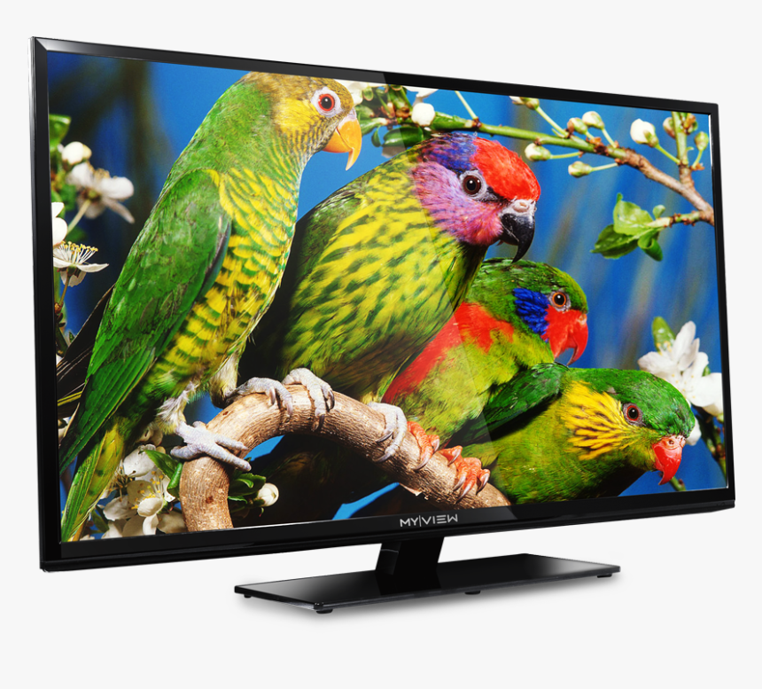 Led Tv & Home Appliances, HD Png Download, Free Download