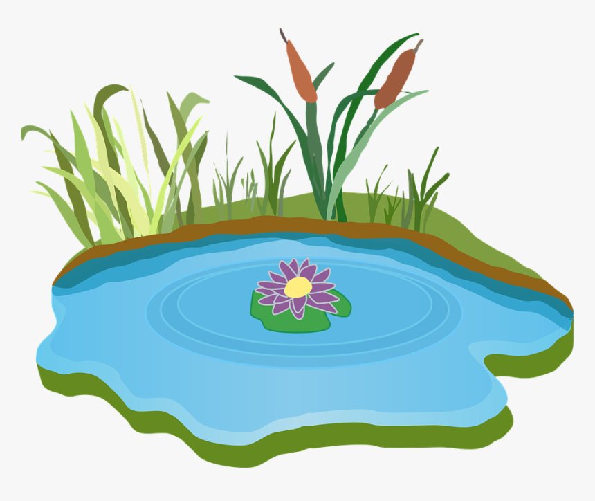 Pond, Water, Outdoor, Grass, Outdoors, Foliage - Lake Clipart, HD Png Download, Free Download