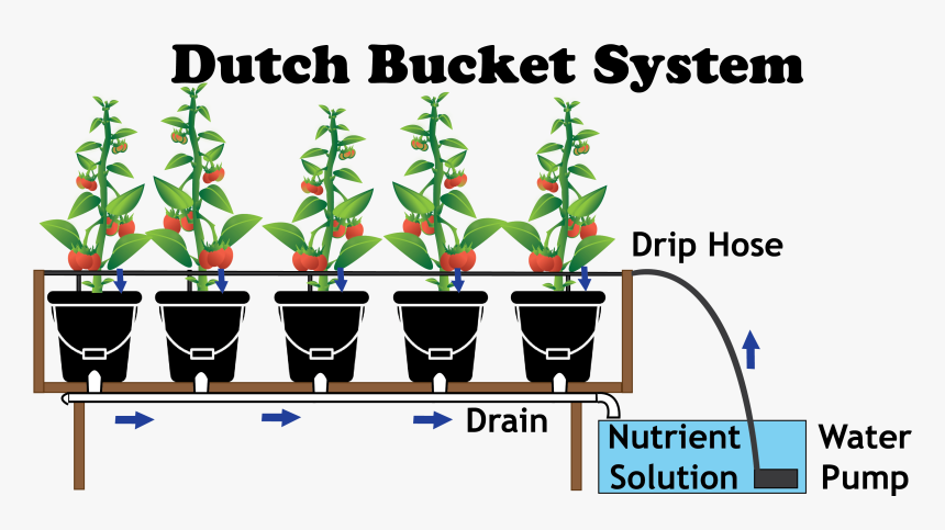 Hydroponic Dutch Bucket System, HD Png Download, Free Download