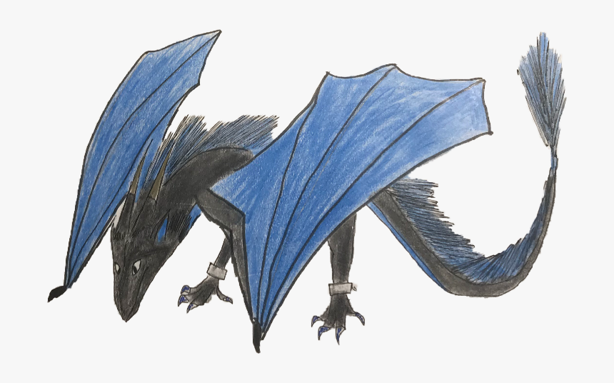 Transparent Dark Night Clipart - Blue And Black Wings Dragon, HD Png Download, Free Download
