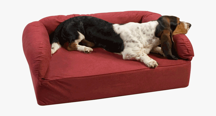 Sofa Dog Pet Beds - Comfort, HD Png Download, Free Download