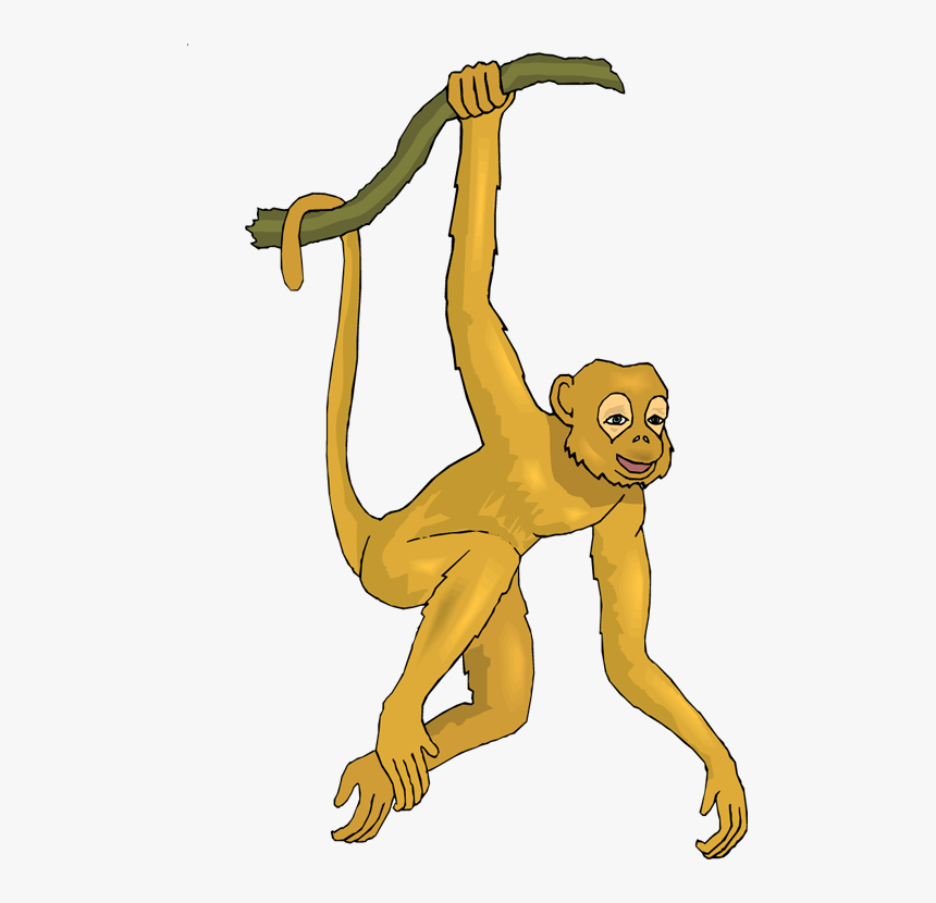 Free Monkey Clipart - Realistic Monkey Clipart, HD Png Download, Free Download