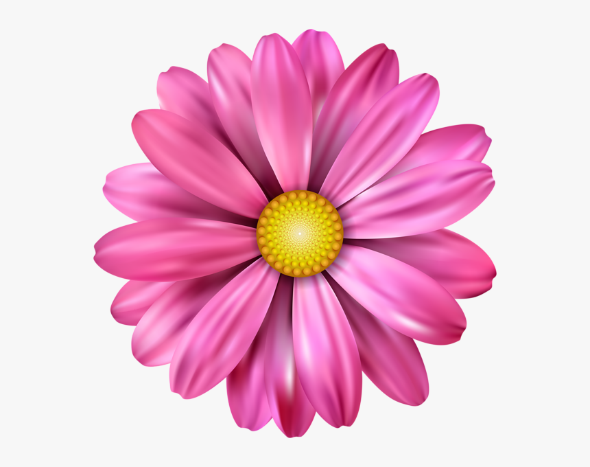 Pink Flower Transparent Image - Flower, HD Png Download, Free Download