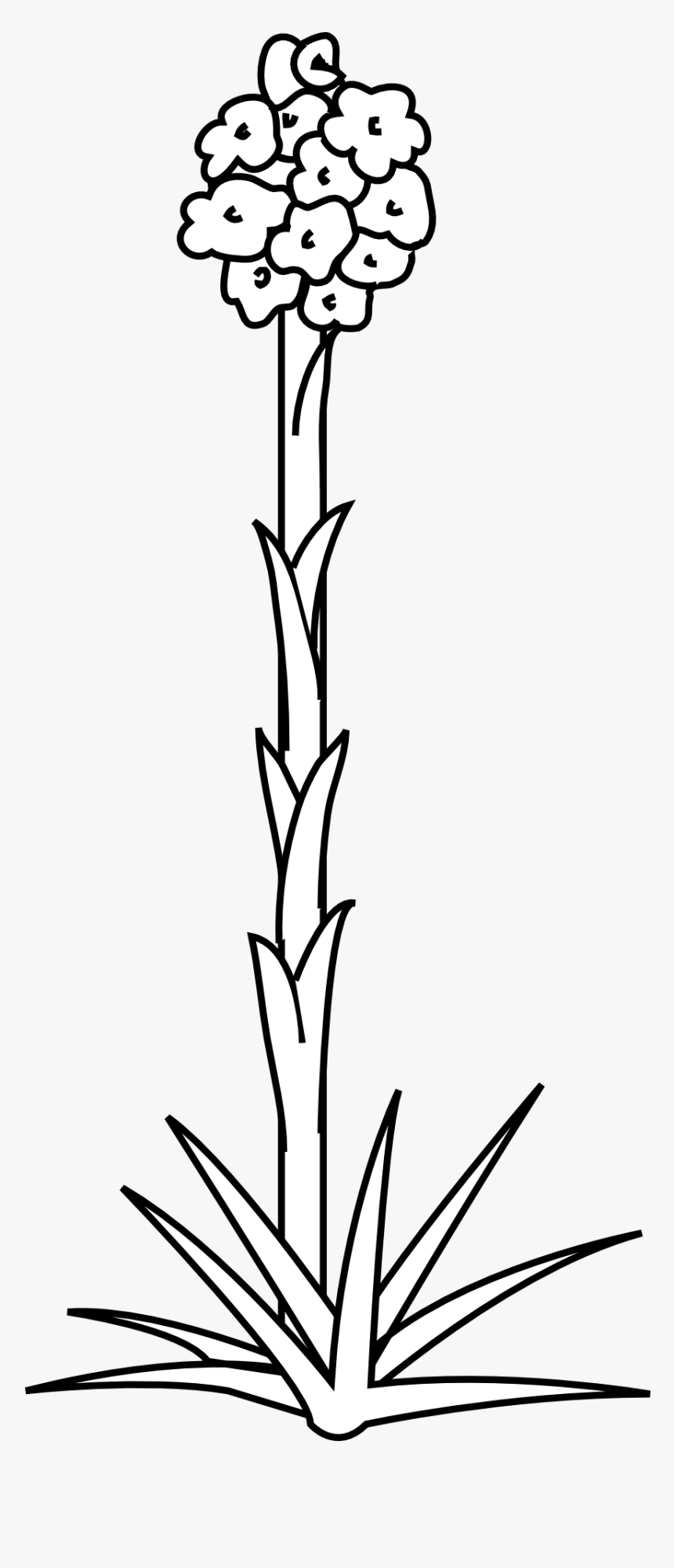 Plants, HD Png Download, Free Download