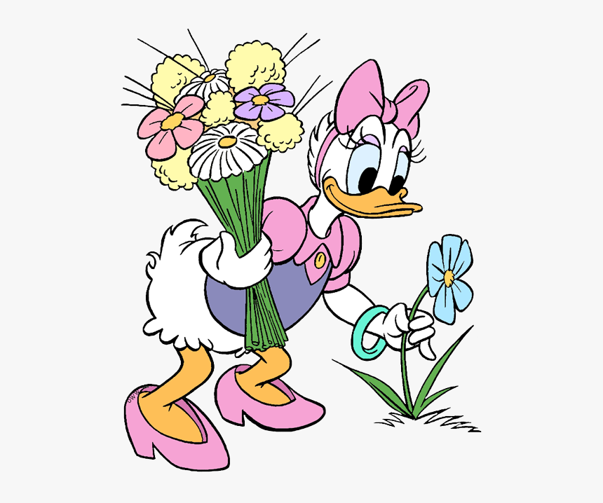Daisy Clipart Png, Transparent Png, Free Download