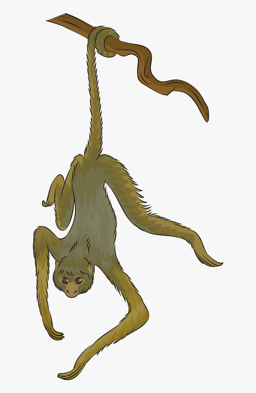 Cartoon, HD Png Download, Free Download