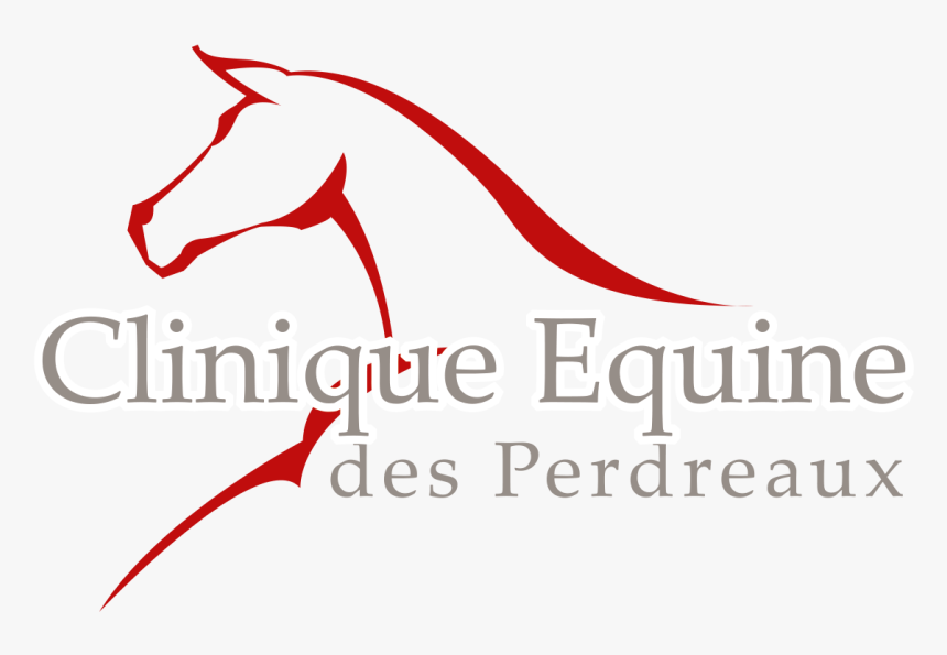 Logo Clinique Equin Copie 131205 - Advance Pierre Foods, HD Png Download, Free Download