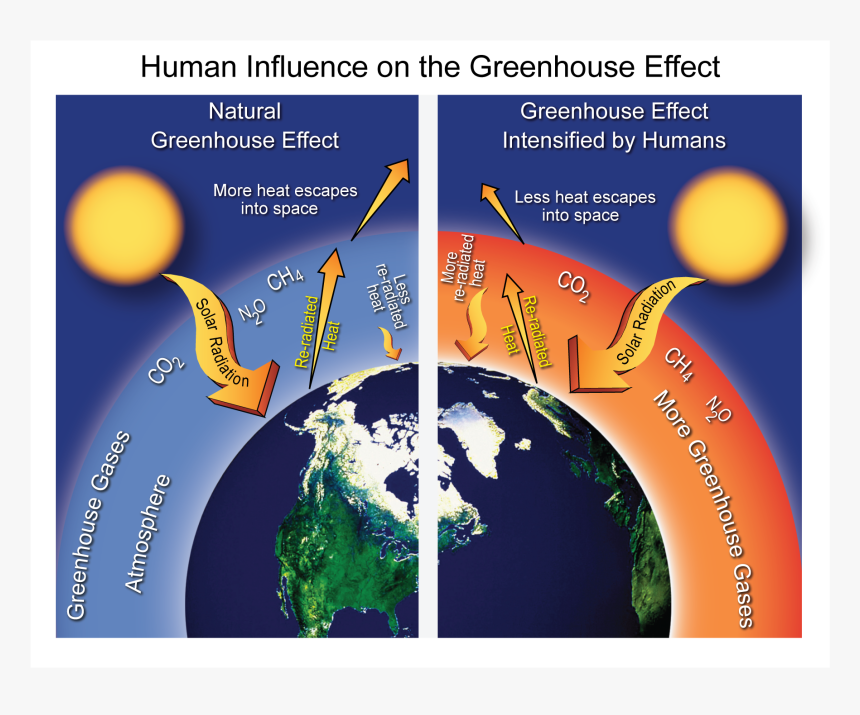 Greenhouse Gases Effect On The Environment, HD Png Download, Free Download